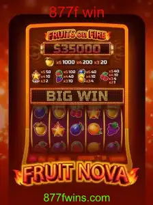 Explorando o Mundo de FruitNova: Um Mergulho nas Regras e Dinâmicas do Jogo